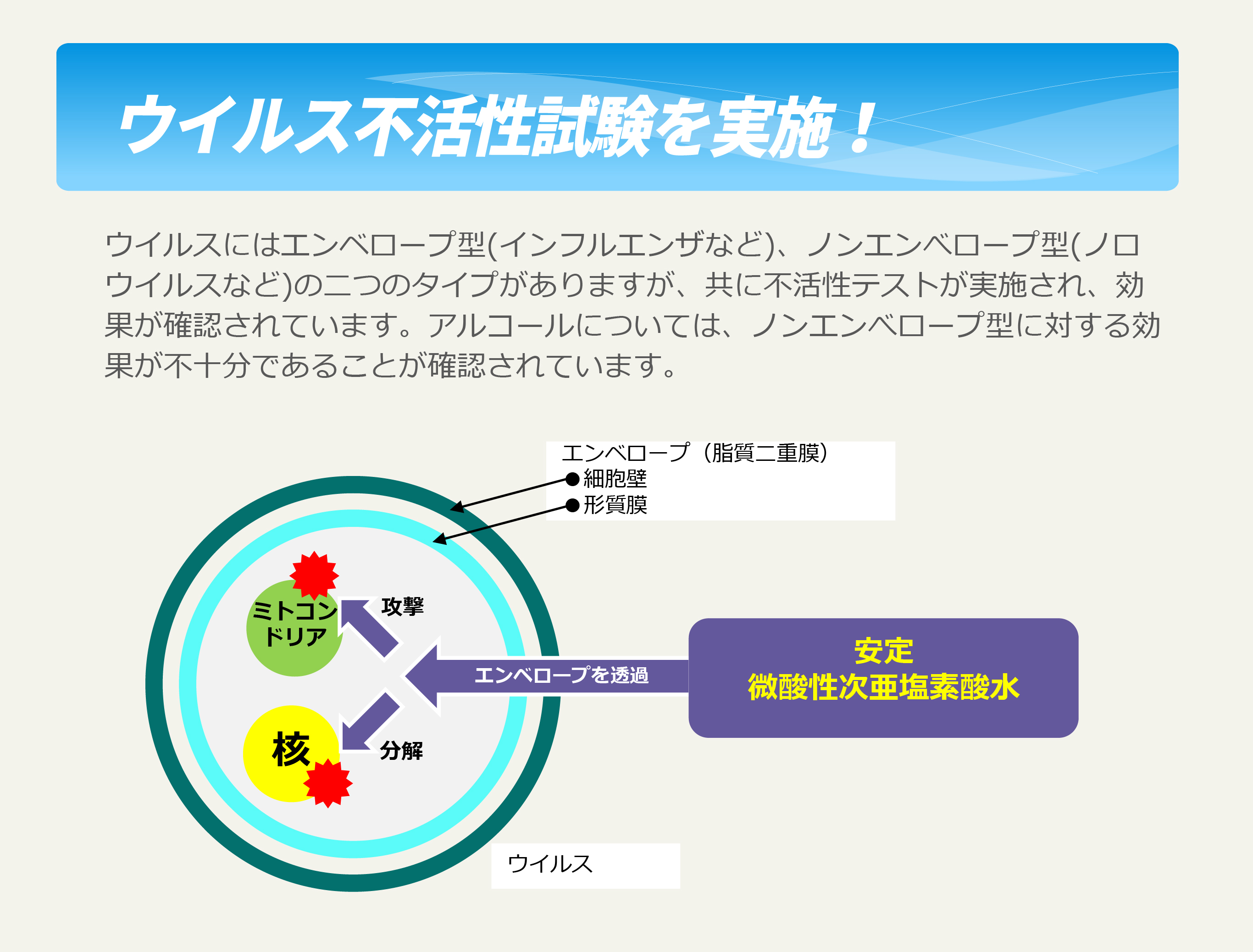 ウイルス不活性試験を実施